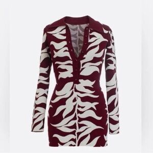 Hanifa Soraya Mini Dress (Burgundy and White Knit Dress)